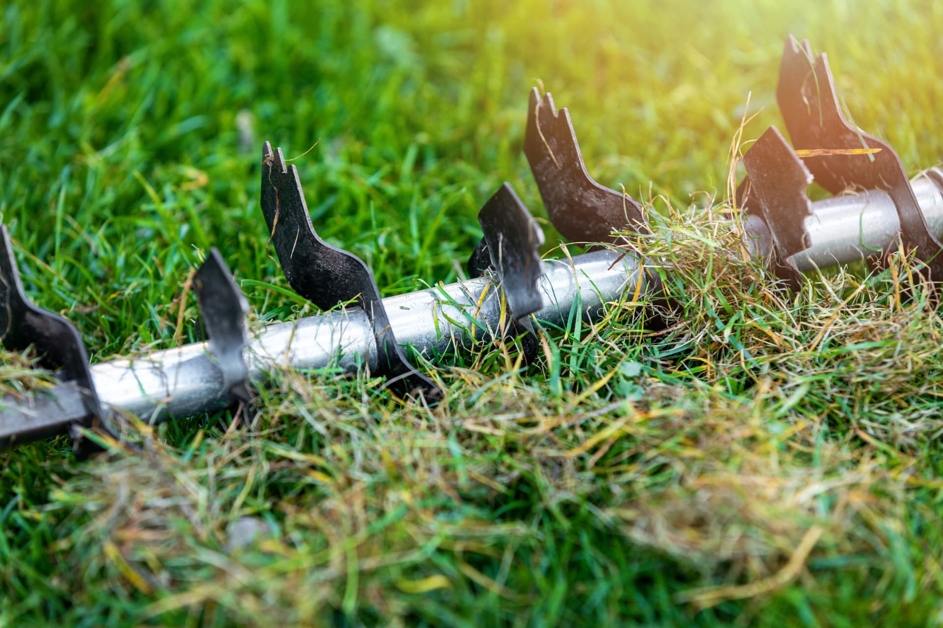 Scarificateur de pelouse : à quoi ça sert vraiment ?