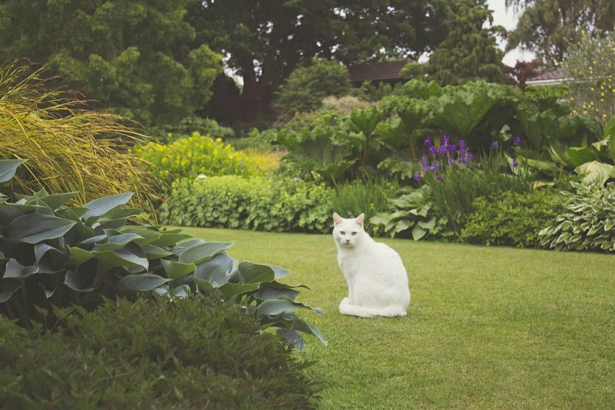 Location d'outils pour le jardin : le bon plan pour ne pas se ruiner