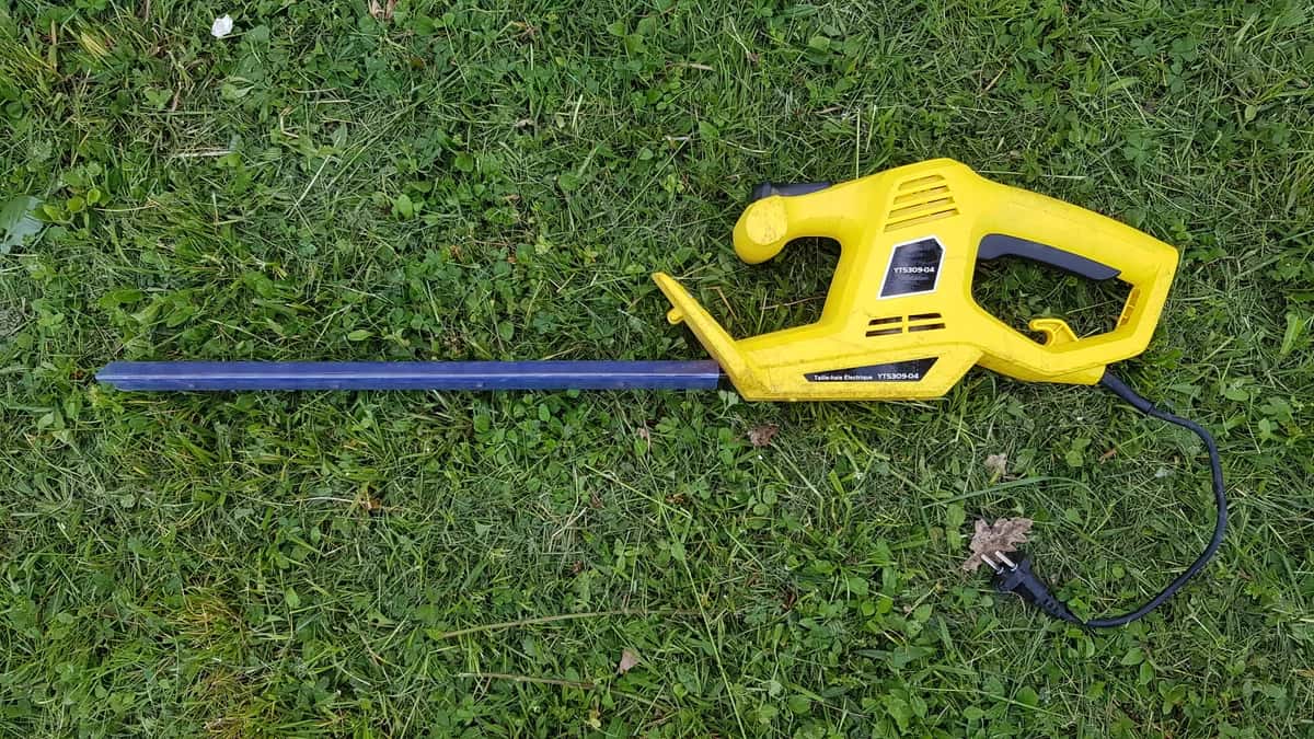 Location petit taille haie électrique