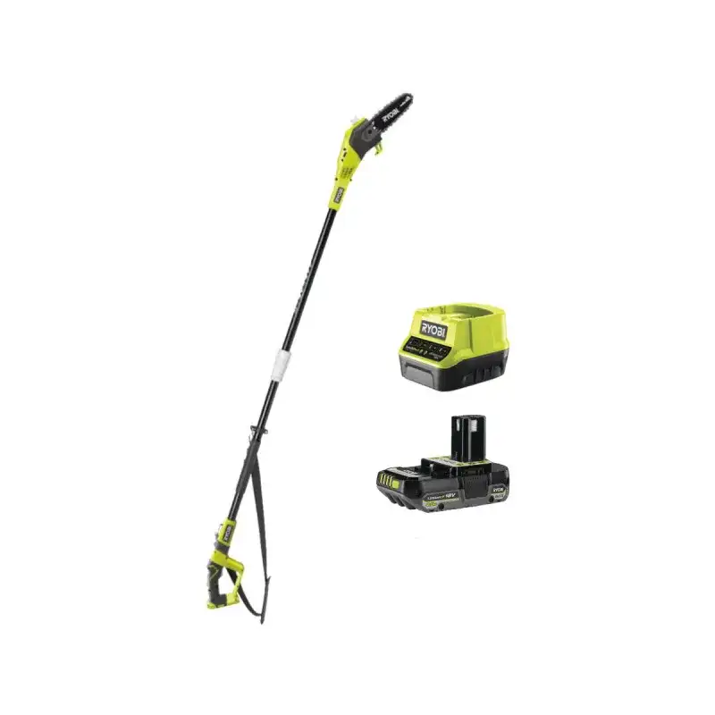 Élagueur ryobi avec perche
