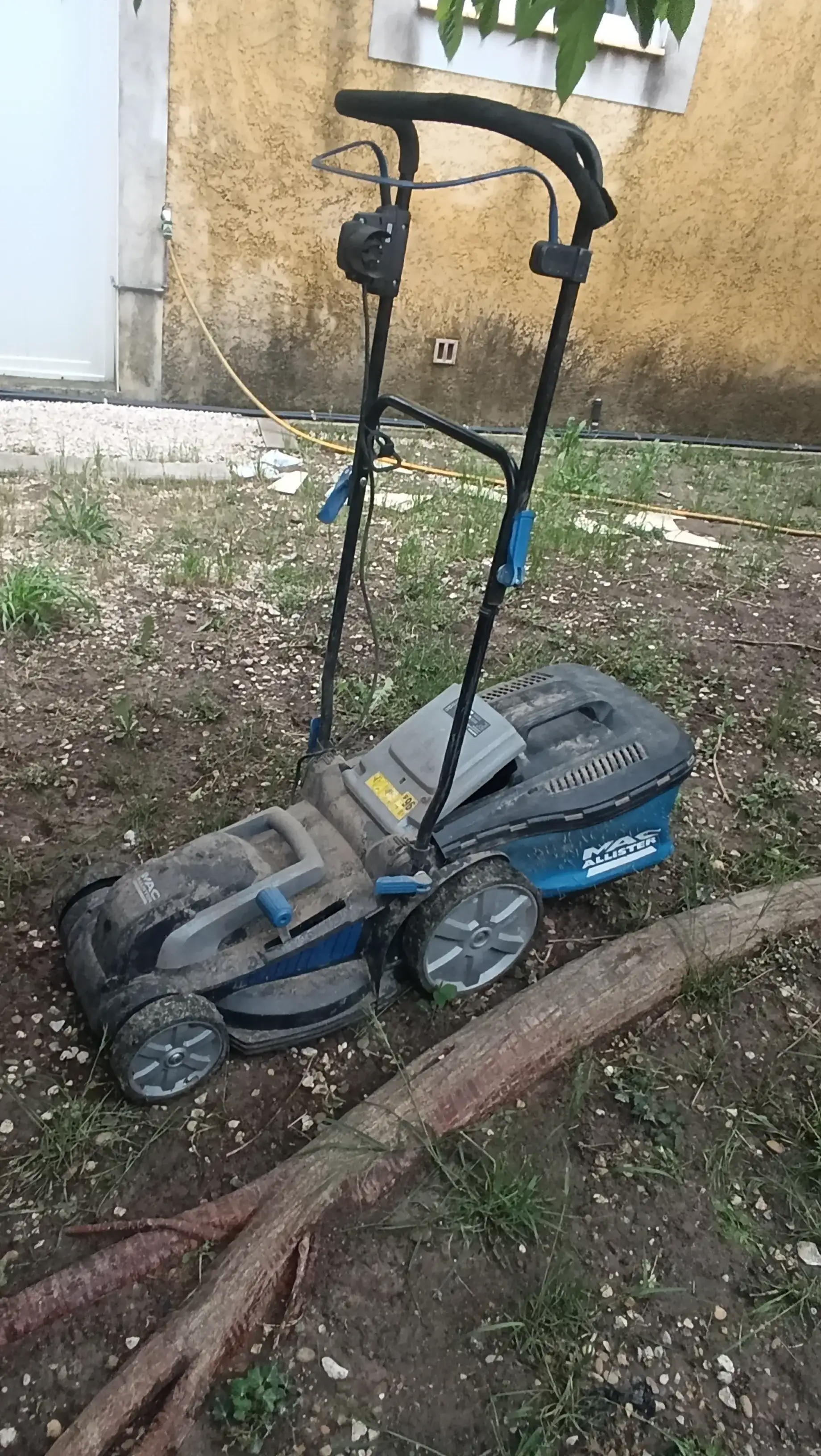tondeuse électrique 